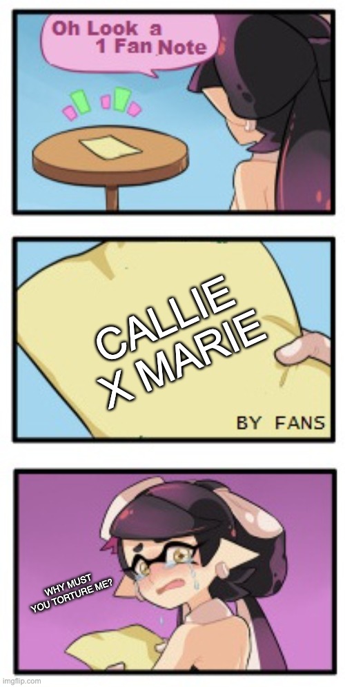 Splatoon - Sad Writing Note | CALLIE X MARIE; WHY MUST YOU TORTURE ME? | image tagged in splatoon - sad writing note | made w/ Imgflip meme maker
