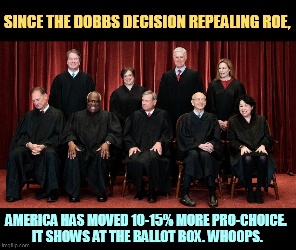 Keep it up, guys, and before long the country will be 100% pro-choice. | SINCE THE DOBBS DECISION REPEALING ROE, AMERICA HAS MOVED 10-15% MORE PRO-CHOICE. 
IT SHOWS AT THE BALLOT BOX. WHOOPS. | image tagged in supreme court sam alito asleep,abortion,supreme court,mistake,america,pro-choice | made w/ Imgflip meme maker