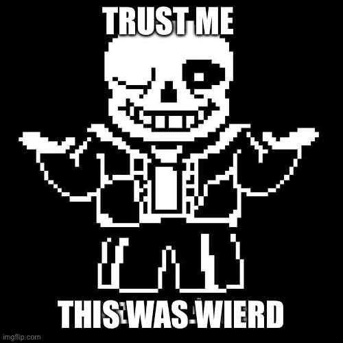 sans undertale | TRUST ME THIS WAS WEIRD | image tagged in sans undertale | made w/ Imgflip meme maker