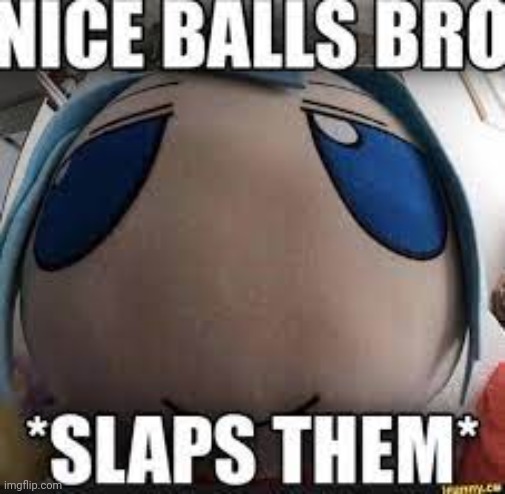 nice balls bro | image tagged in nice balls bro | made w/ Imgflip meme maker