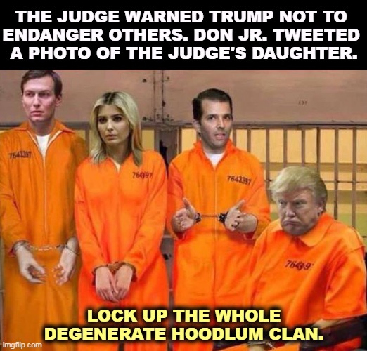No gag order so far, but Trump could talk his way into one. | THE JUDGE WARNED TRUMP NOT TO 
ENDANGER OTHERS. DON JR. TWEETED 
A PHOTO OF THE JUDGE'S DAUGHTER. LOCK UP THE WHOLE DEGENERATE HOODLUM CLAN. | image tagged in the family that fails together jails together trump,trump,criminal,family,gag,order | made w/ Imgflip meme maker