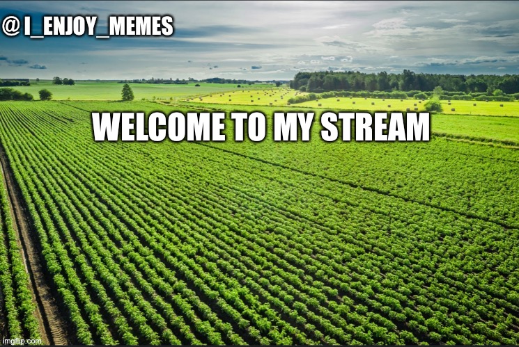 I_enjoy_memes_template | WELCOME TO MY STREAM | image tagged in i_enjoy_memes_template | made w/ Imgflip meme maker