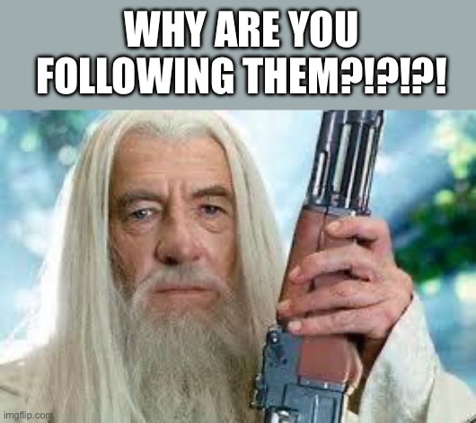 Shotgun Gandalf | WHY ARE YOU FOLLOWING THEM?!?!?! | image tagged in shotgun gandalf | made w/ Imgflip meme maker