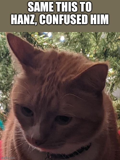 Confuse him with boongas | SAME THIS TO HANZ, CONFUSED HIM | image tagged in b ngas | made w/ Imgflip meme maker