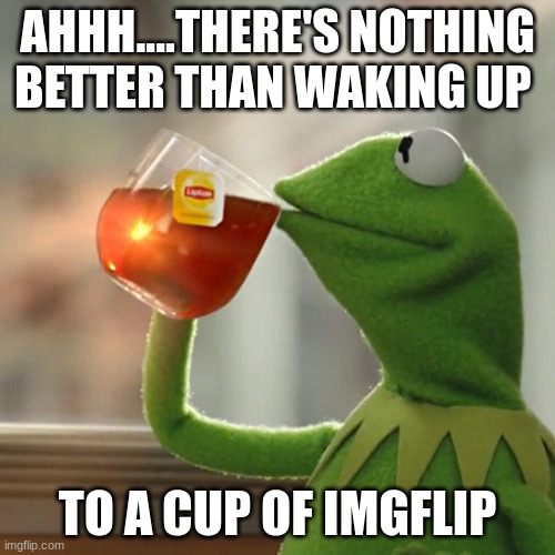 It's better than a cup of coffee | AHHH....THERE'S NOTHING BETTER THAN WAKING UP; TO A CUP OF IMGFLIP | image tagged in memes,but that's none of my business,kermit the frog | made w/ Imgflip meme maker