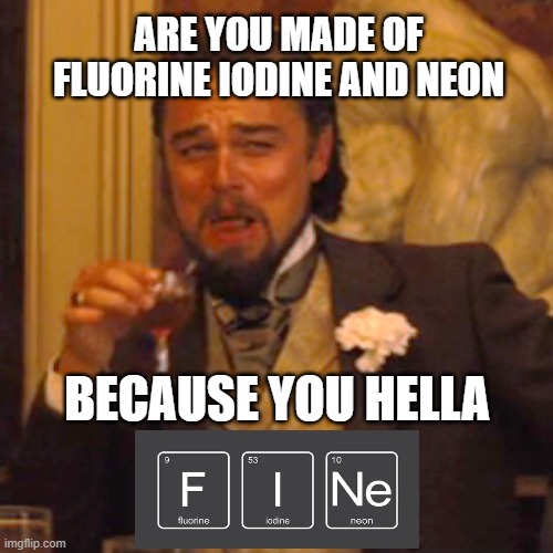 Laughing Leo Meme | ARE YOU MADE OF FLUORINE IODINE AND NEON; BECAUSE YOU HELLA | image tagged in memes,laughing leo | made w/ Imgflip meme maker