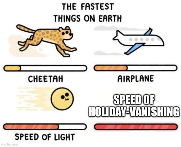 We miss those Holidays | SPEED OF HOLIDAY-VANISHING | image tagged in the fastest things on earth cheetah airplane speed of light | made w/ Imgflip meme maker