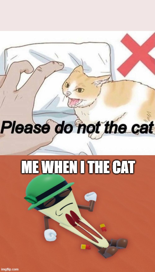 never the cat, boys. | ME WHEN I THE CAT | image tagged in please do not the cat | made w/ Imgflip meme maker