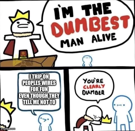 Dumbest Man Alive Blank | I TRIP ON PEOPLES WIRES FOR FUN EVEN THOUGH THEY TELL ME NOT TO | image tagged in dumbest man alive blank | made w/ Imgflip meme maker
