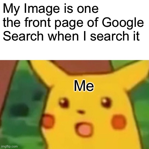 Surprised Homo Sapiens | My Image is one the front page of Google Search when I search it; Me | image tagged in memes,surprised pikachu | made w/ Imgflip meme maker