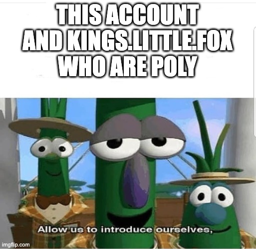 Allow us to introduce ourselves | THIS ACCOUNT AND KINGS.LITTLE.FOX WHO ARE POLY | image tagged in allow us to introduce ourselves | made w/ Imgflip meme maker