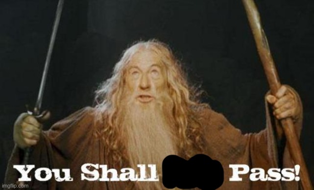 gandalf you shall not pass | image tagged in gandalf you shall not pass | made w/ Imgflip meme maker