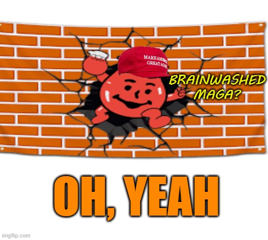 OH, YEAH BRAINWASHED MAGA? | made w/ Imgflip meme maker