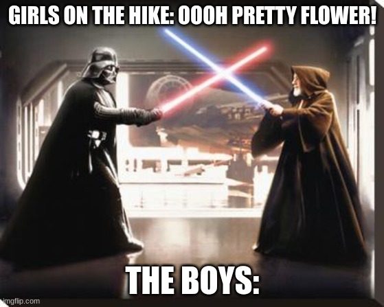 Hikes be like | GIRLS ON THE HIKE: OOOH PRETTY FLOWER! THE BOYS: | image tagged in darth vader vs obi wan | made w/ Imgflip meme maker