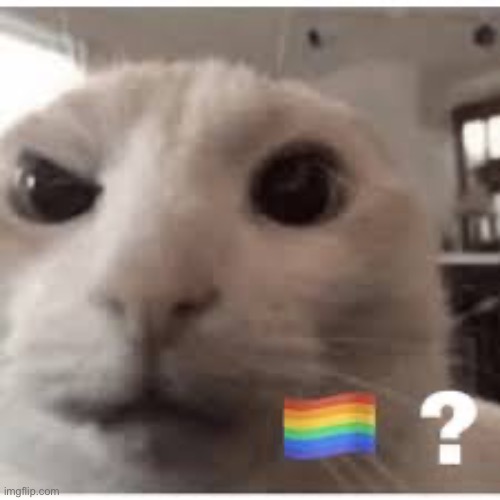 Caption this | made w/ Imgflip meme maker