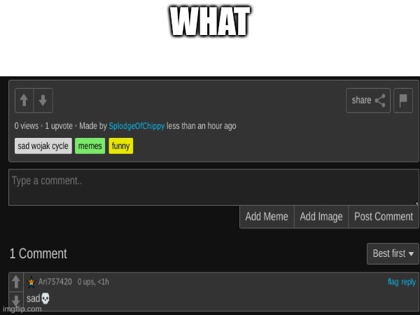 what | WHAT | image tagged in what,how | made w/ Imgflip meme maker