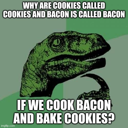 Why must English hurt me this way? | WHY ARE COOKIES CALLED COOKIES AND BACON IS CALLED BACON; IF WE COOK BACON AND BAKE COOKIES? | image tagged in memes,philosoraptor | made w/ Imgflip meme maker