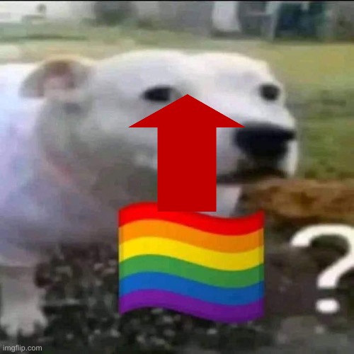 The post above is now gay | made w/ Imgflip meme maker