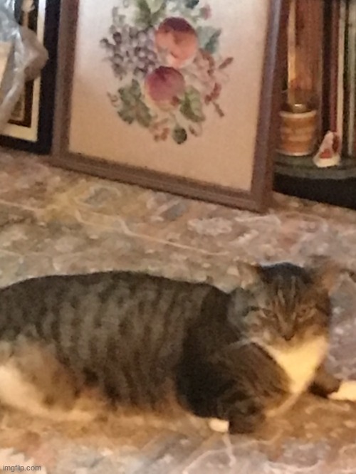 Fatass | made w/ Imgflip meme maker