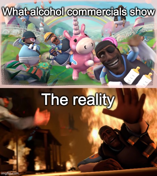 seen one in my health class | What alcohol commercials show; The reality | image tagged in imagination vs reality,meet the pyro,alcohol,commercials | made w/ Imgflip meme maker