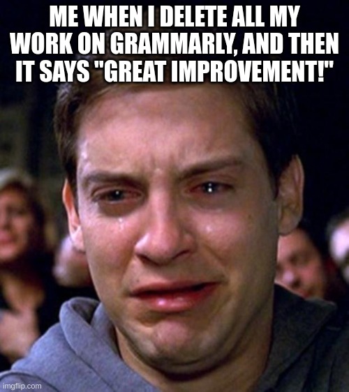 crying peter parker | ME WHEN I DELETE ALL MY WORK ON GRAMMARLY, AND THEN IT SAYS "GREAT IMPROVEMENT!" | image tagged in crying peter parker | made w/ Imgflip meme maker