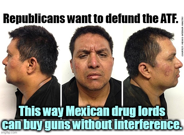 Republicans want to defund the ATF. This way Mexican drug lords can buy guns without interference. | image tagged in republicans,kill,atf,help,mexican,drug dealer | made w/ Imgflip meme maker
