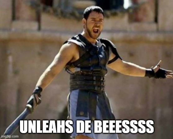 Unleash Hell | UNLEAHS DE BEEESSSS | image tagged in unleash hell | made w/ Imgflip meme maker