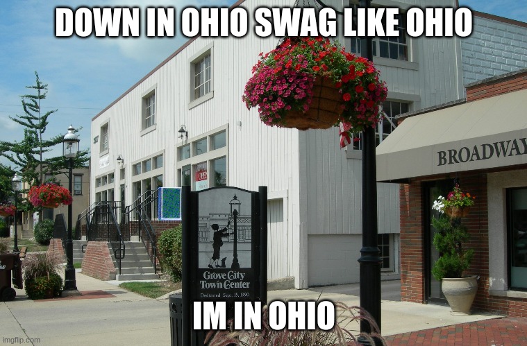 down in ohio swag like ohio | DOWN IN OHIO SWAG LIKE OHIO; IM IN OHIO | image tagged in ohio | made w/ Imgflip meme maker