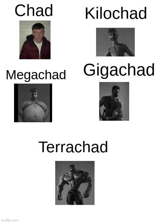 Kilochad; Chad; Gigachad; Megachad; Terrachad | made w/ Imgflip meme maker