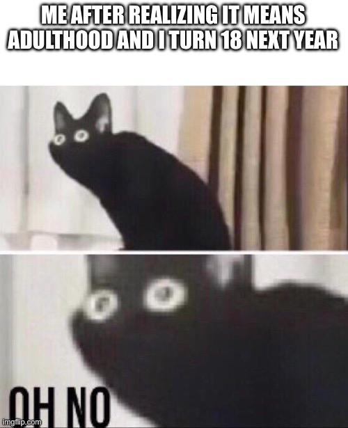 Oh no cat | ME AFTER REALIZING IT MEANS ADULTHOOD AND I TURN 18 NEXT YEAR | image tagged in oh no cat | made w/ Imgflip meme maker