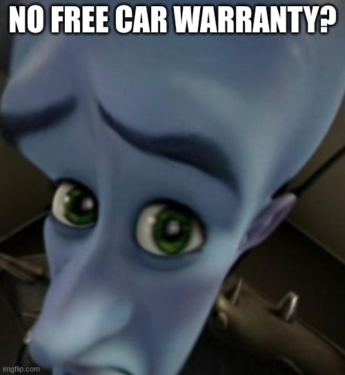No free car warrenty | NO FREE CAR WARRANTY? | image tagged in megamind no bitches | made w/ Imgflip meme maker