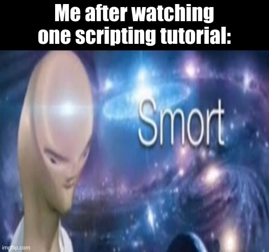 Smort | Me after watching one scripting tutorial: | image tagged in smort,i am smort | made w/ Imgflip meme maker
