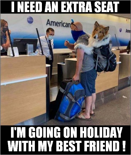 He Couldn't Leave Him Behind ! | I NEED AN EXTRA SEAT; I'M GOING ON HOLIDAY
WITH MY BEST FRIEND ! | image tagged in dogs,airlines,holidays,vacations | made w/ Imgflip meme maker