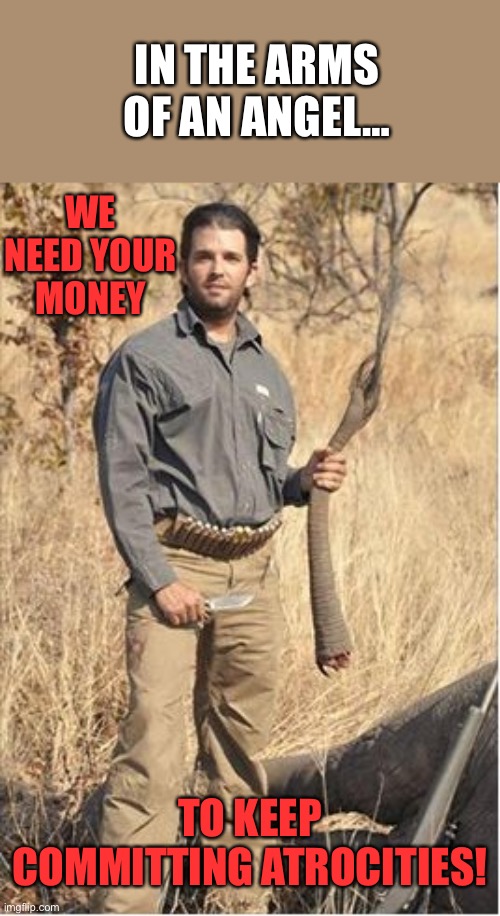 Don Junior Elephant Killer | WE NEED YOUR MONEY TO KEEP COMMITTING ATROCITIES! IN THE ARMS OF AN ANGEL… | image tagged in don junior elephant killer | made w/ Imgflip meme maker