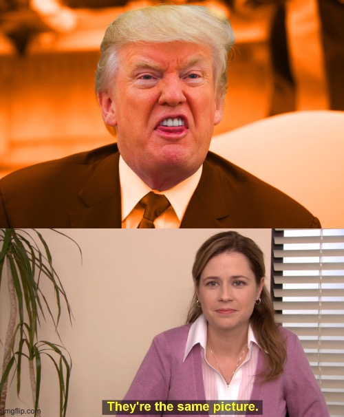 image tagged in sneering orange trump,memes,they're the same picture | made w/ Imgflip meme maker