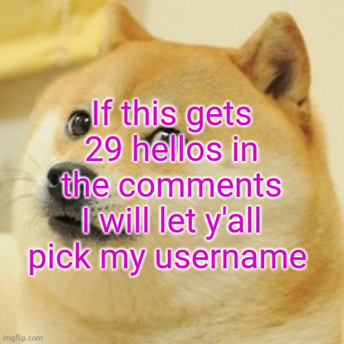 Please | If this gets 29 hellos in the comments I will let y'all pick my username | image tagged in memes,doge | made w/ Imgflip meme maker