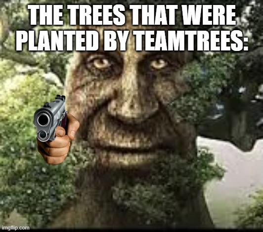 Wise mytical tree | THE TREES THAT WERE PLANTED BY TEAMTREES: | image tagged in wise mytical tree | made w/ Imgflip meme maker