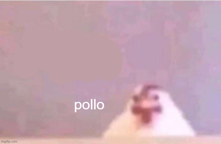 Live Reaction | pollo | image tagged in live reaction | made w/ Imgflip meme maker
