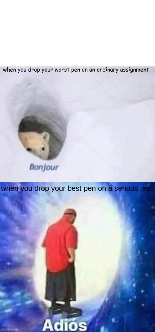 . | when you drop your worst pen on an ordinary assignment; when you drop your best pen on a serious test | image tagged in bonjour,adios,hi | made w/ Imgflip meme maker