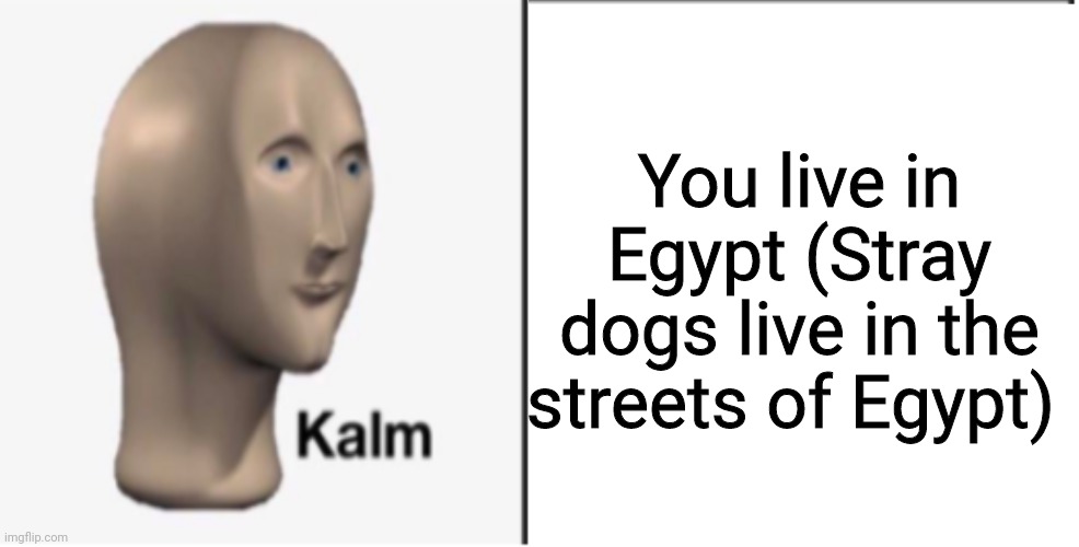 Just Kalm. | You live in Egypt (Stray dogs live in the streets of Egypt) | image tagged in just kalm | made w/ Imgflip meme maker