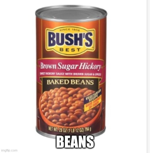 Nothing to say. Just beans | BEANS | image tagged in beans | made w/ Imgflip meme maker