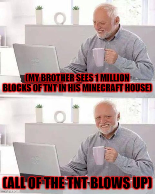 TNT blast | (MY BROTHER SEES 1 MILLION BLOCKS OF TNT IN HIS MINECRAFT HOUSE); (ALL OF THE TNT BLOWS UP) | image tagged in memes,hide the pain harold,minecraft | made w/ Imgflip meme maker