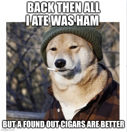 the hobo dog | BACK THEN ALL I ATE WAS HAM; BUT A FOUND OUT CIGARS ARE BETTER | image tagged in cigarette doge | made w/ Imgflip meme maker