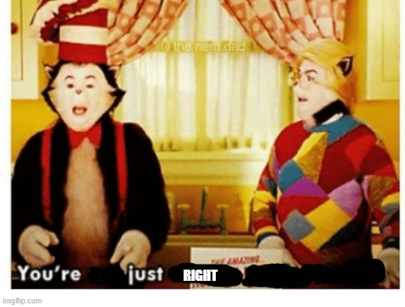 You're not just wrong your stupid | RIGHT | image tagged in you're not just wrong your stupid | made w/ Imgflip meme maker
