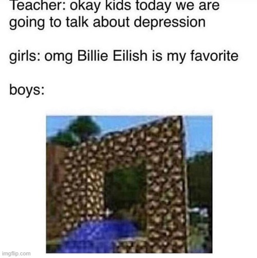 (this is just a meme if your a girl that likes minecraft thats ok so remember this is just a meme im not here to offend anyone) | image tagged in minecraft | made w/ Imgflip meme maker