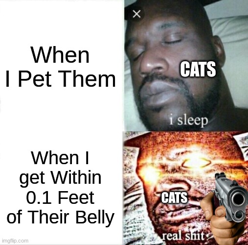So You Have Chosen, Death! | When I Pet Them; CATS; When I get Within 0.1 Feet of Their Belly; CATS | image tagged in memes,sleeping shaq | made w/ Imgflip meme maker