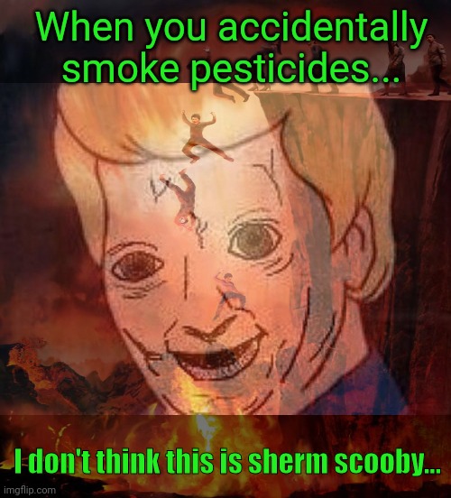 No. This is not ok. | When you accidentally smoke pesticides... I don't think this is sherm scooby... | image tagged in shaggy this isnt weed fred scooby doo,stop,smoking weed | made w/ Imgflip meme maker