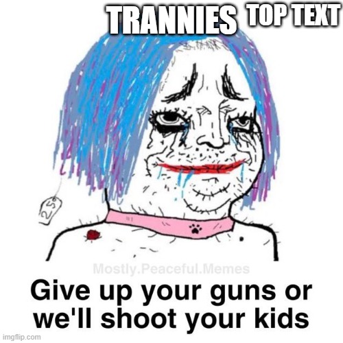 TOP TEXT; TRANNIES | image tagged in nashville | made w/ Imgflip meme maker