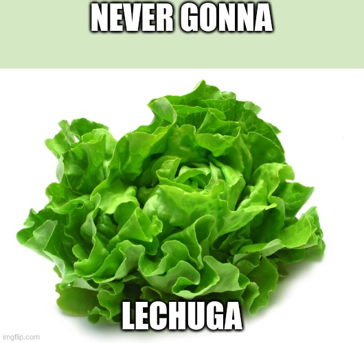 ... | NEVER GONNA; LECHUGA | image tagged in lechuga,memes,so true memes,funny,you had one job | made w/ Imgflip meme maker