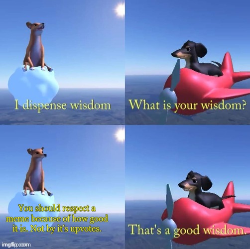 You should! | You should respect a meme because of how good it is. Not by it's upvotes. | image tagged in wisdom dog | made w/ Imgflip meme maker